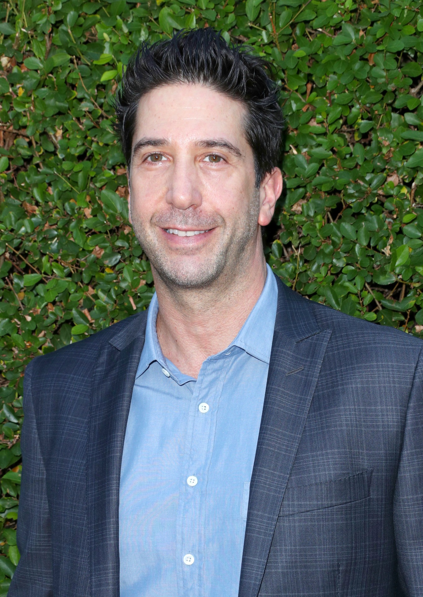 David Schwimmer